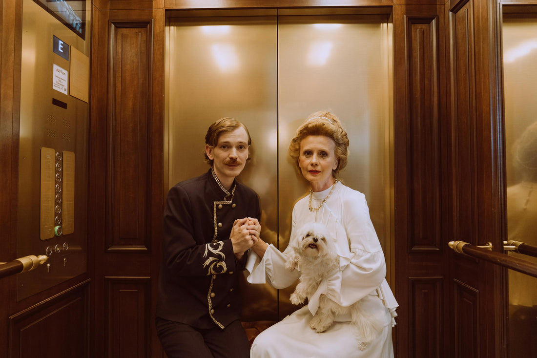 Non-Shedding Dog Breeds for Apartments - Franklin's Pet Boutique