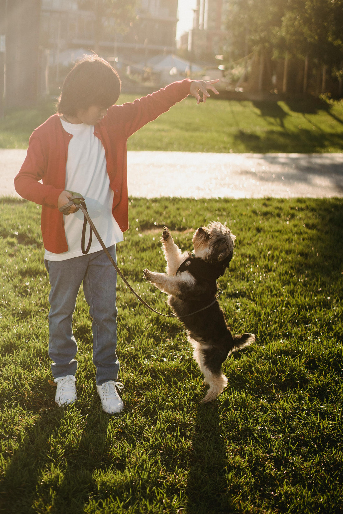 Puppy standing on its hind legs while learning leash training with owner outdoors on grass.