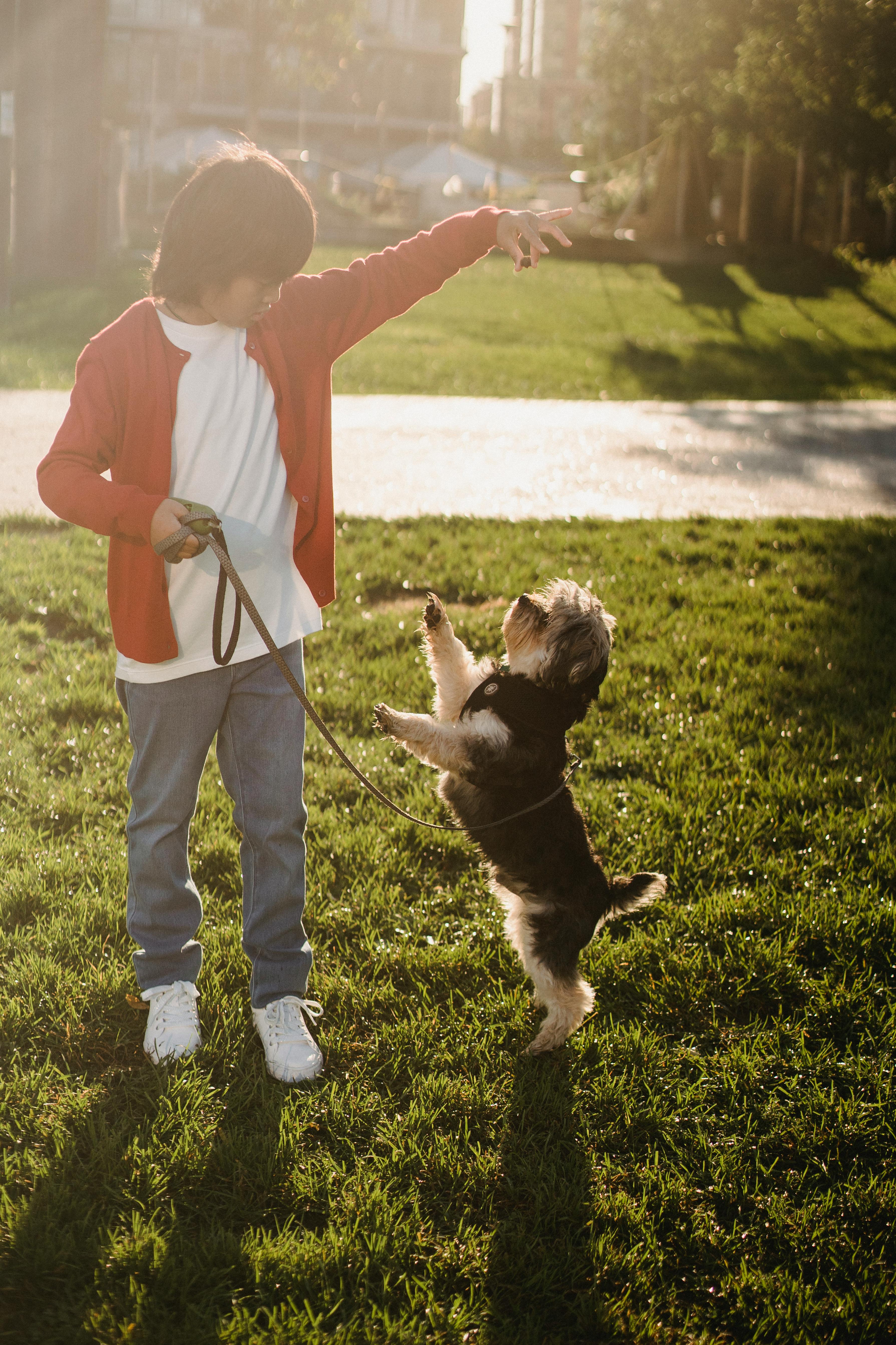 Puppy standing on its hind legs while learning leash training with owner outdoors on grass.