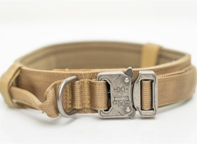 Heavy-Duty Nylon Collars for Medium and Large Dogs