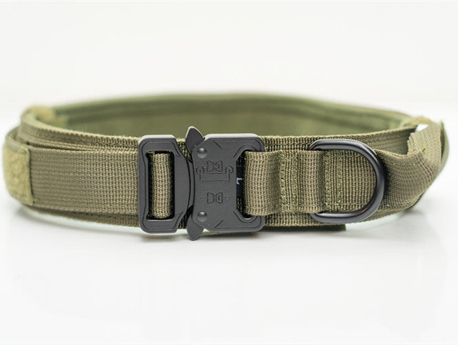 Heavy-Duty Nylon Collars for Medium and Large Dogs