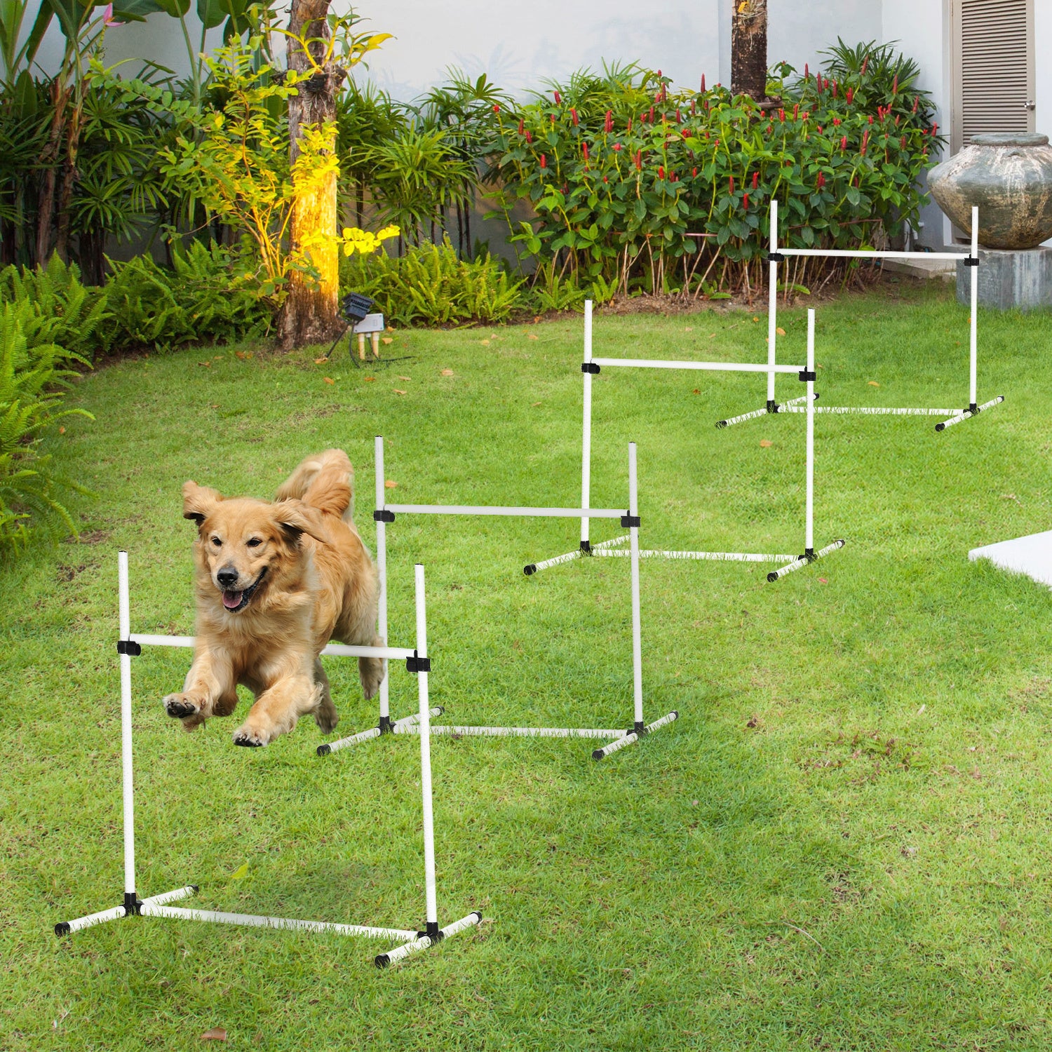 4-piece Dog Agility Training Equipment
