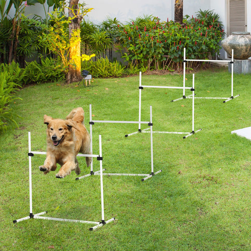 4-piece Dog Agility Training Equipment
