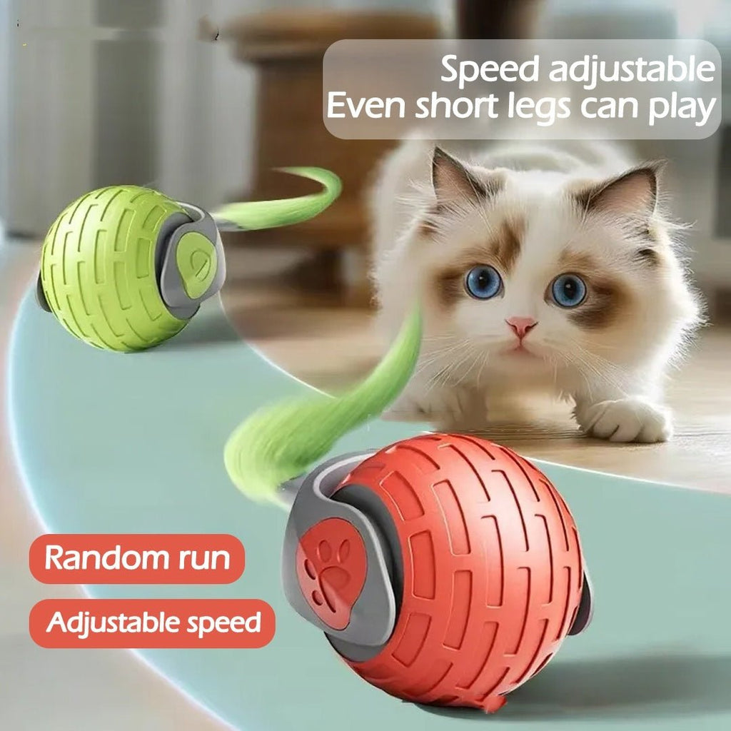 AutoChase USB Rechargeable Cat Ball - Franklin's Pet Boutique