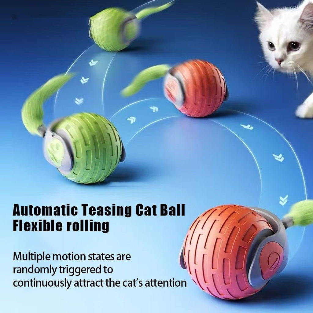 AutoChase USB Rechargeable Cat Ball - Franklin's Pet Boutique