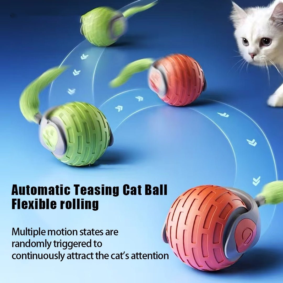 AutoChase USB Rechargeable Cat Ball - Franklin's Pet Boutique