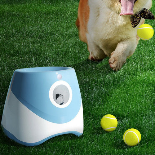 Automatic Ball Launcher Toy - Franklin's Pet Boutique