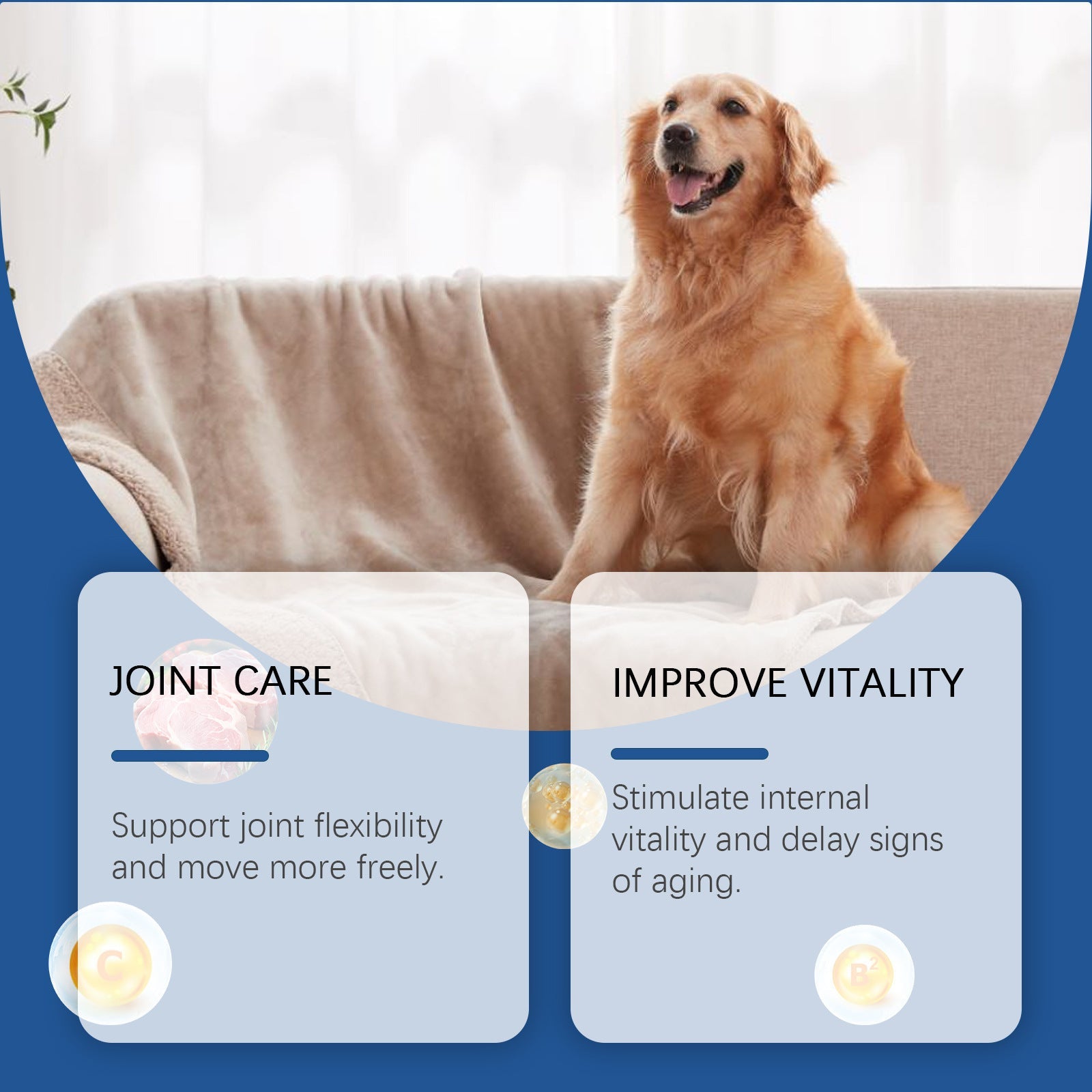 Calcium Tablets - Franklin's Pet Boutique