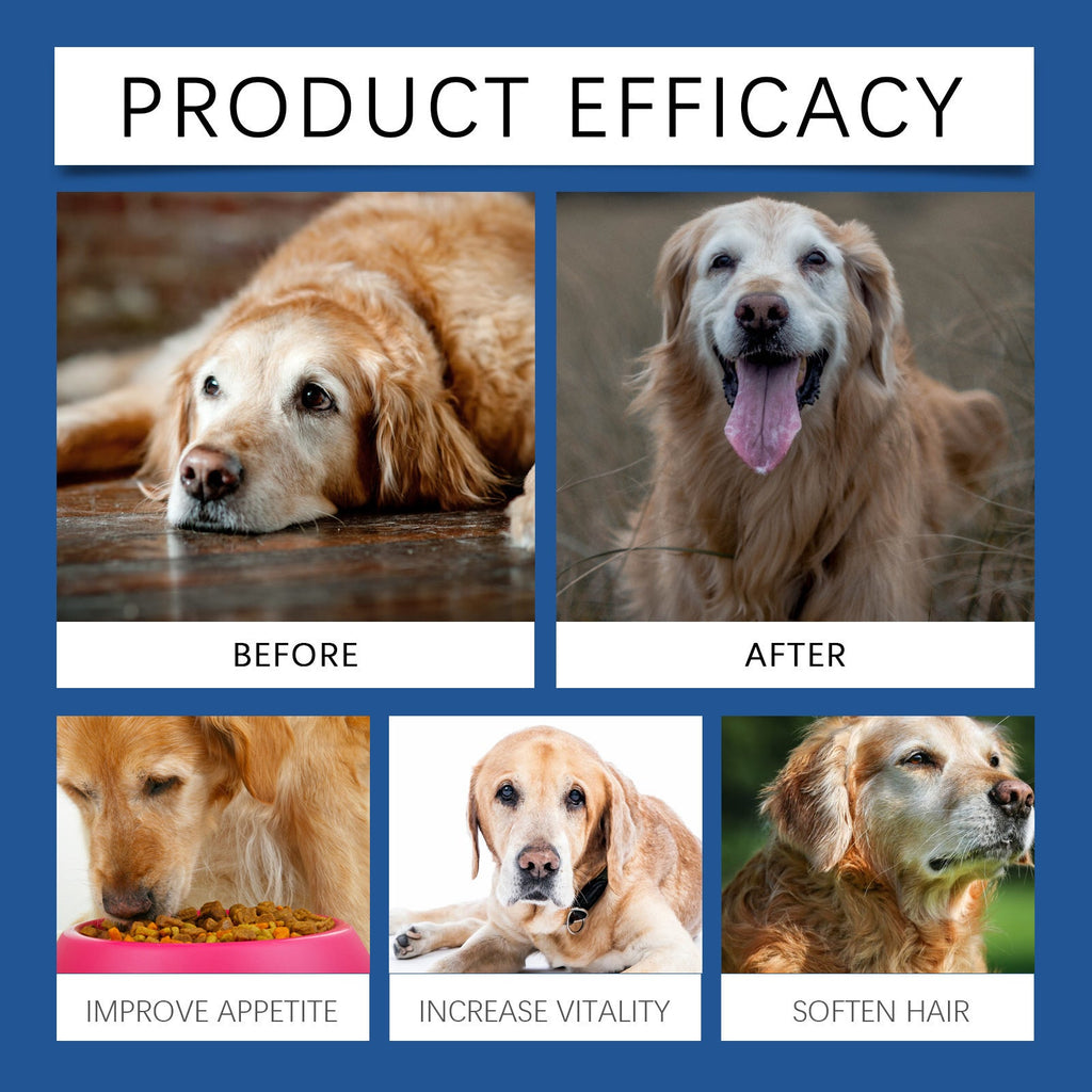 Calcium Tablets - Franklin's Pet Boutique