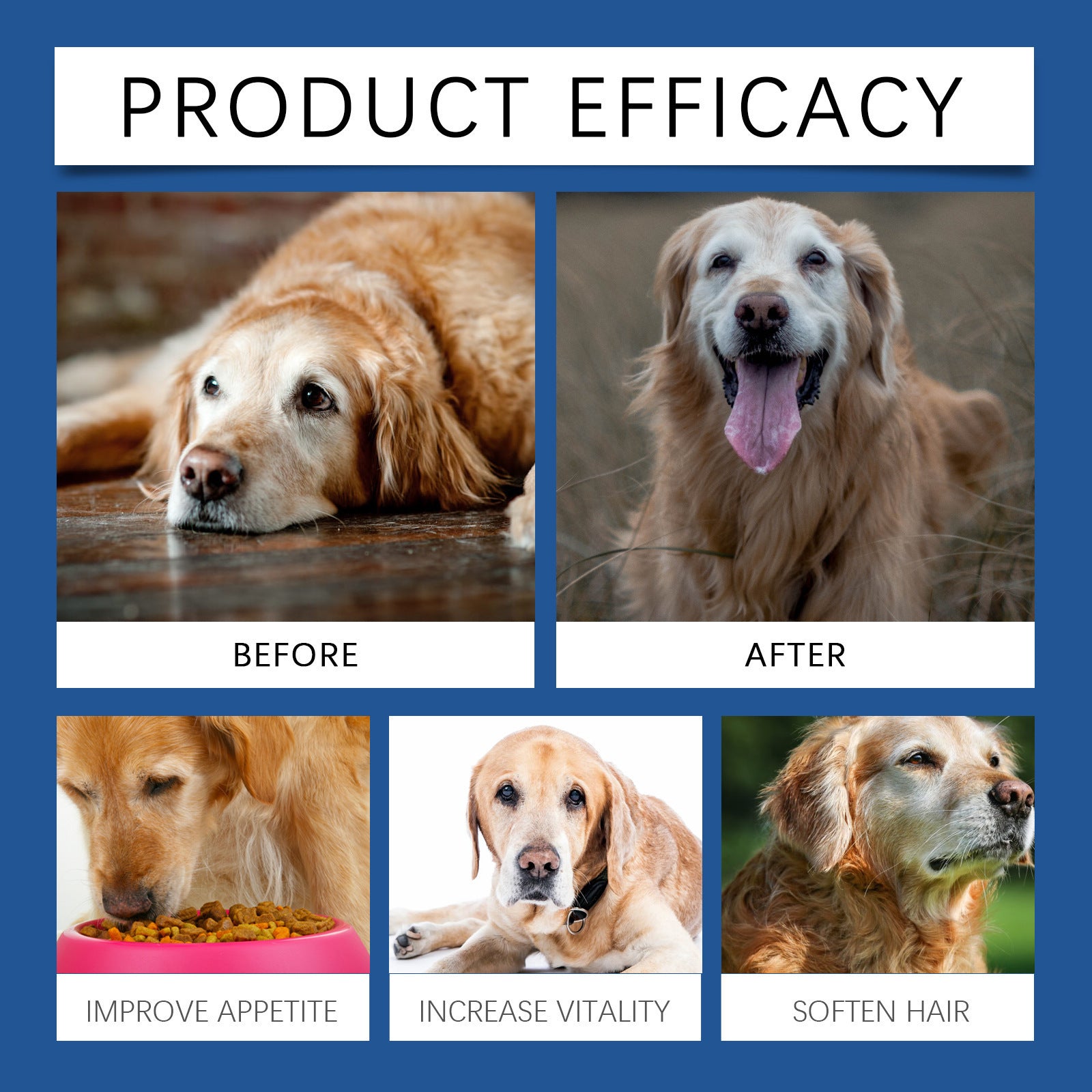 Calcium Tablets - Franklin's Pet Boutique