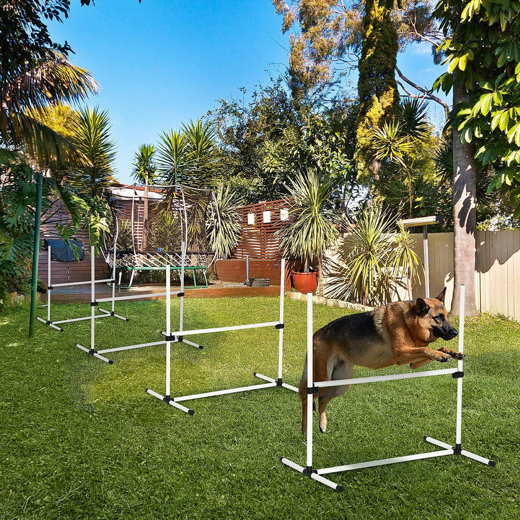 4-piece Dog Agility Training Equipment