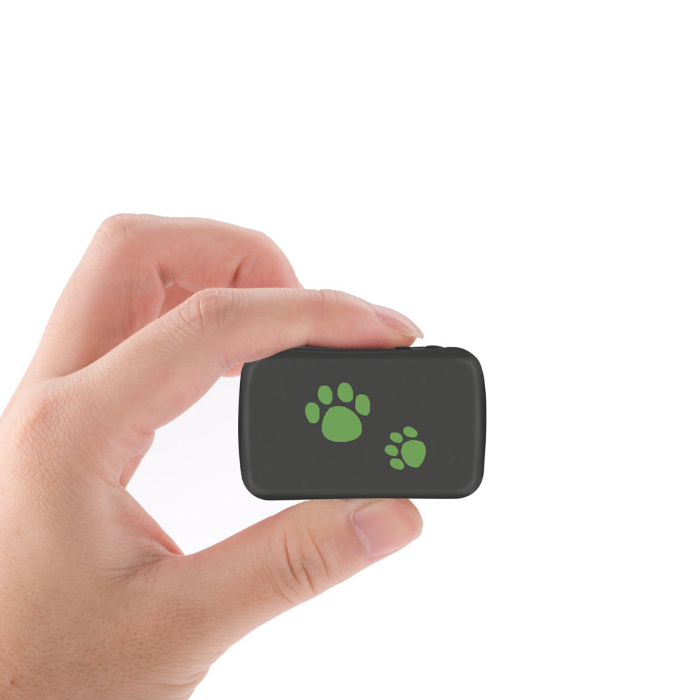 Pet GPS Tracker - Never Lose Your Furry Friend