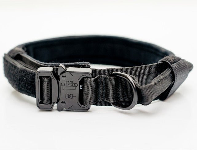 Heavy - Duty Nylon Collars for Medium and Large Dogs - Franklin's Pet Boutique