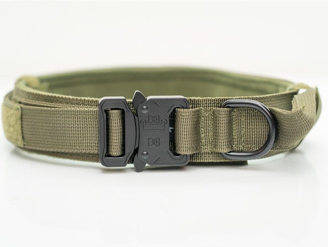 Heavy - Duty Nylon Collars for Medium and Large Dogs - Franklin's Pet Boutique