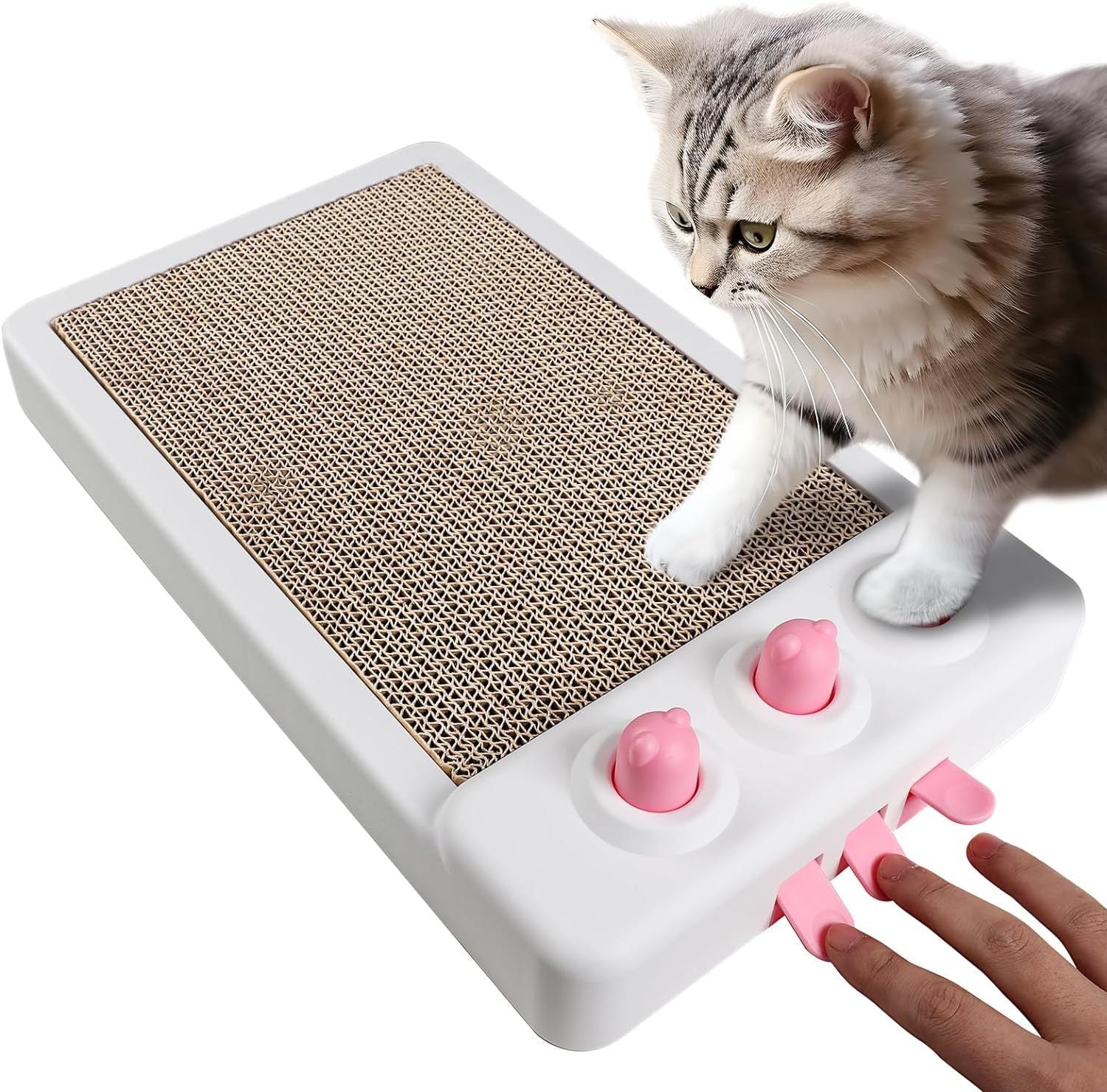 Interactive Whack - a - Mole Cat Scratcher - Franklin's Pet Boutique