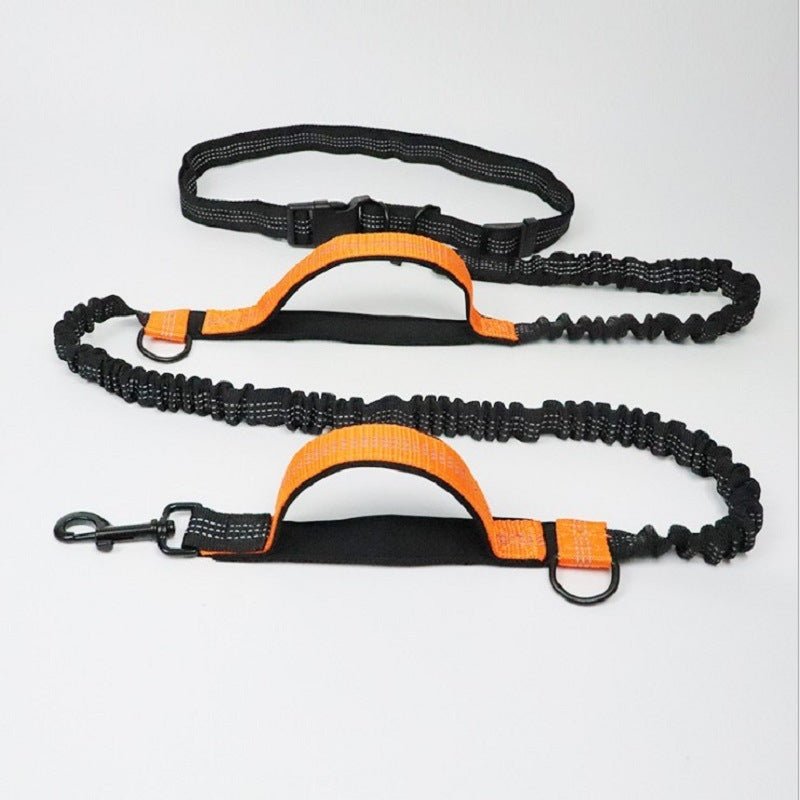 Multifunctional Pet Traction Rope - Franklin's Pet Boutique