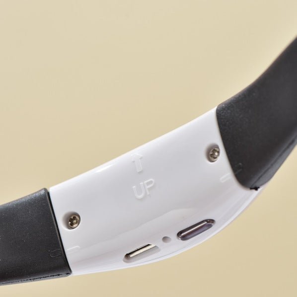 Pet Cat Toy Laser Collar - Franklin's Pet Boutique