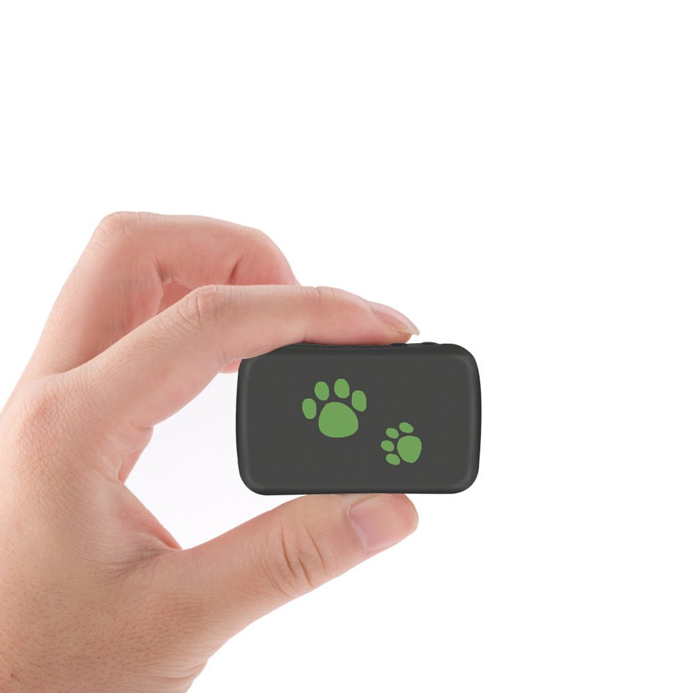 Pet GPS Tracker - Never Lose Your Furry Friend - Franklin's Pet Boutique