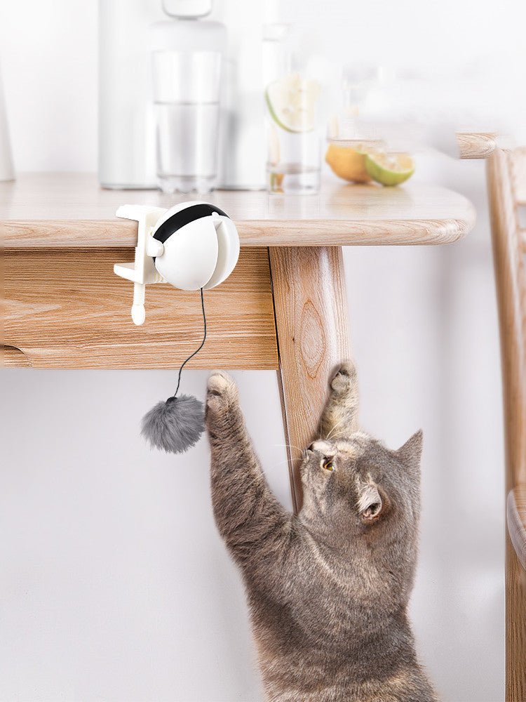 SmartLift Interactive Cat Teaser Ball - Franklin's Pet Boutique