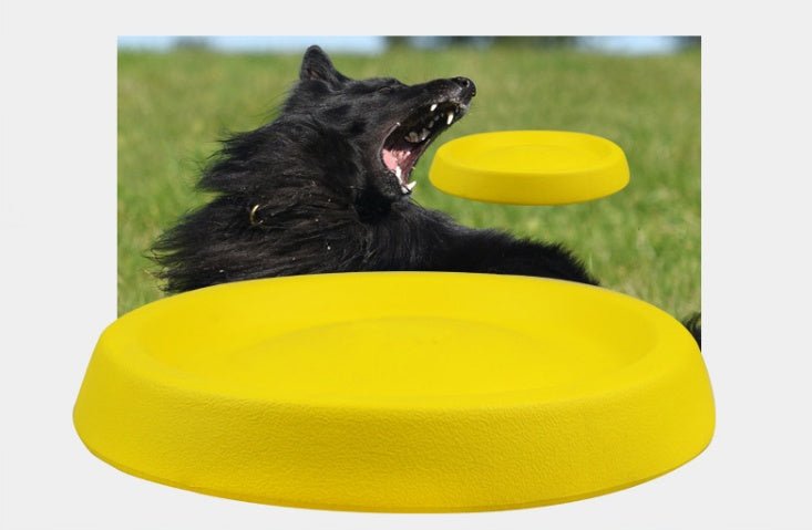 Thowing plastic dog toy - Franklin's Pet Boutique