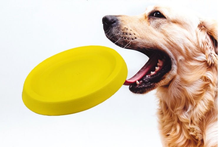 Thowing plastic dog toy - Franklin's Pet Boutique