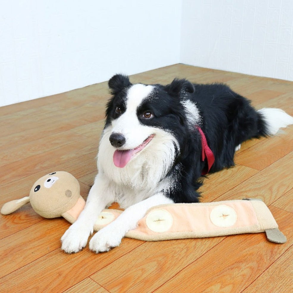 Training Sniff Toy - Franklin's Pet Boutique